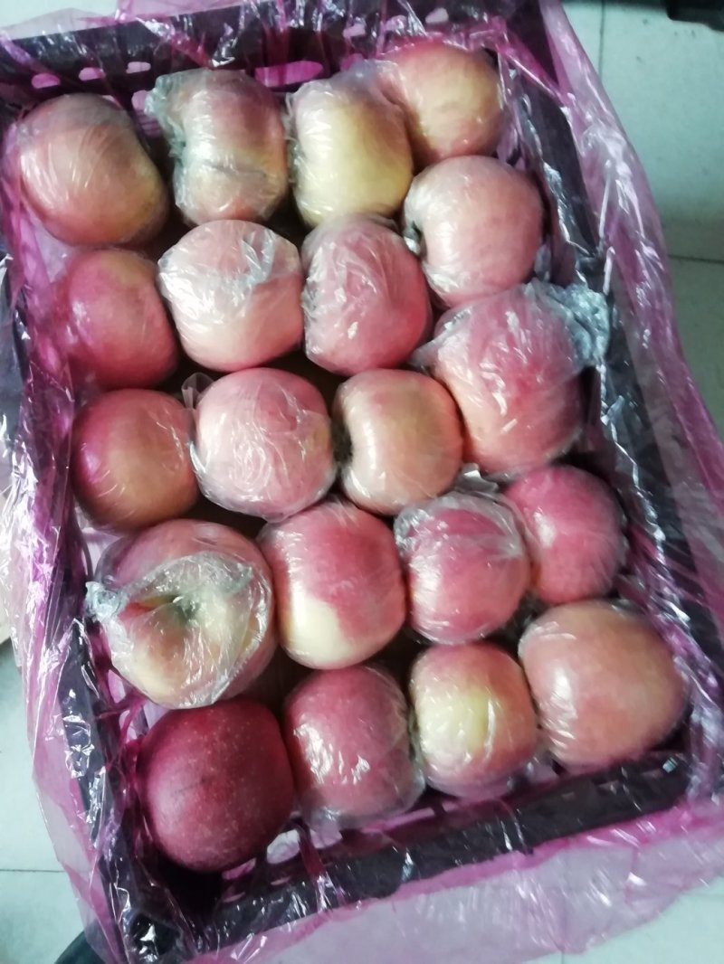 冰糖心冷库果