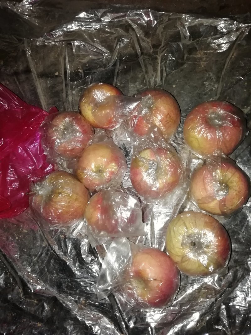 冰糖心冷库果