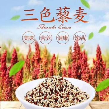 [优选]云南大理藜麦三色藜麦高原有机纯生态种植