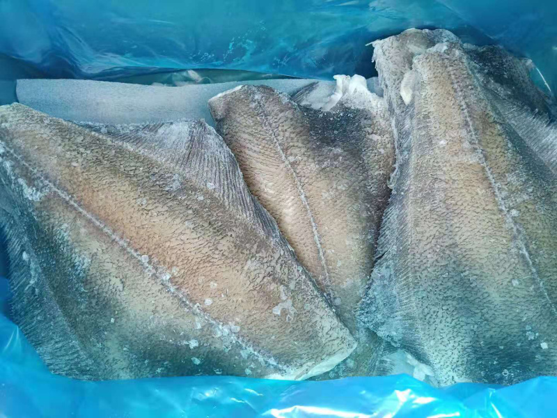 堪察加鲽鱼身