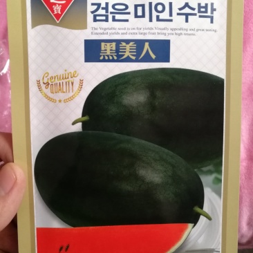 【小型】黑美人礼品西瓜种子甜度高品质好