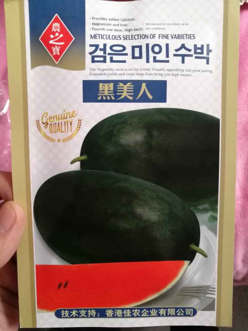 【小型】黑美人礼品西瓜种子甜度高品质好