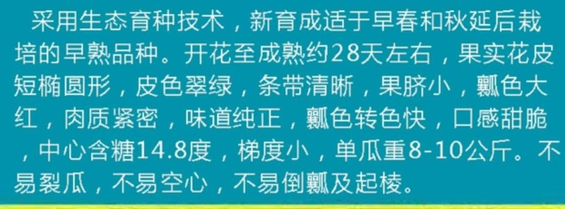 种旺甜王西瓜种子早熟大果耐高温大红瓤高产甜脆水果种子