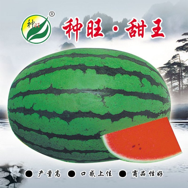 种旺甜王西瓜种子早熟大果耐高温大红瓤高产甜脆水果种子