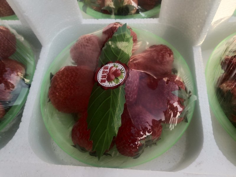 99草莓