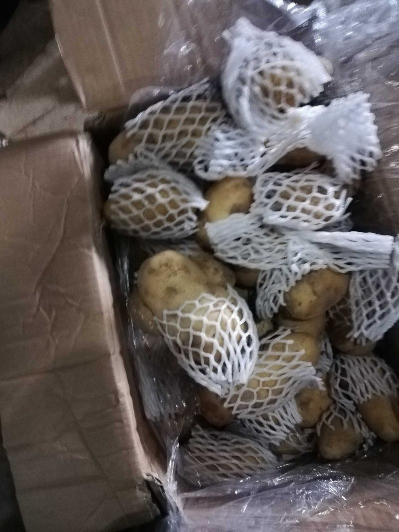 土豆荷兰十五土豆批发基地，一手货源