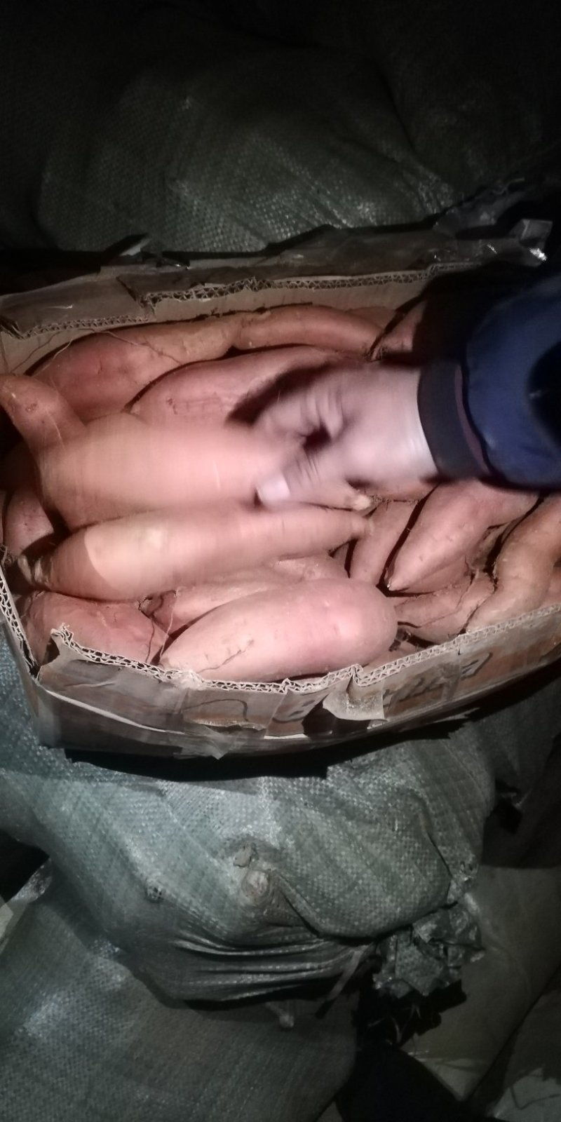 山东紫薯批发市场，基地直销批发货源充足，一手货源
