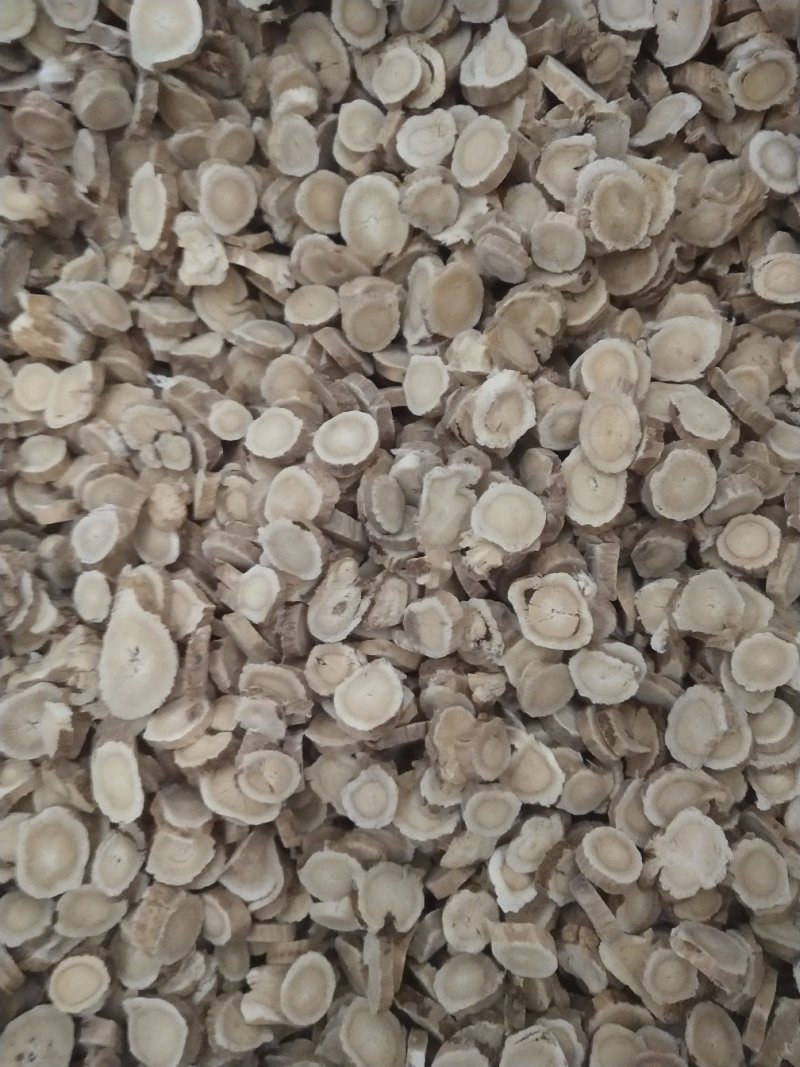 甘肃省渭源县黄芪黄芪圆片～斜片精品片产地直销