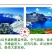 东北野树林深山蜂农**椴树蜜