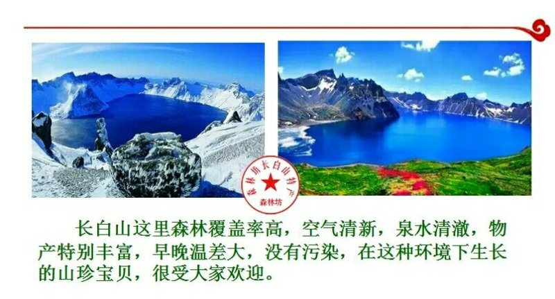 东北野树林深山蜂农**椴树蜜