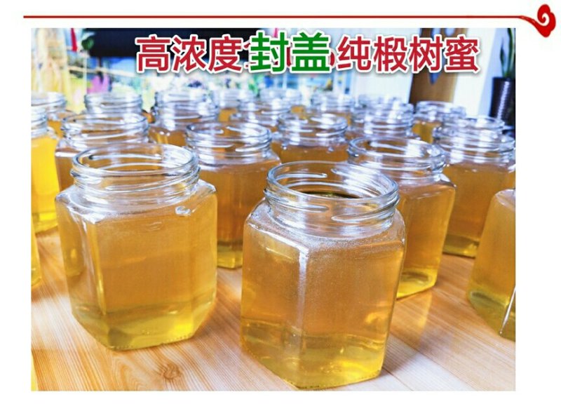 东北野树林深山蜂农**椴树蜜
