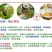 东北野树林深山蜂农**椴树蜜