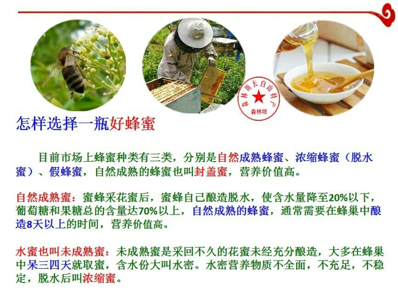 东北野树林深山蜂农**椴树蜜