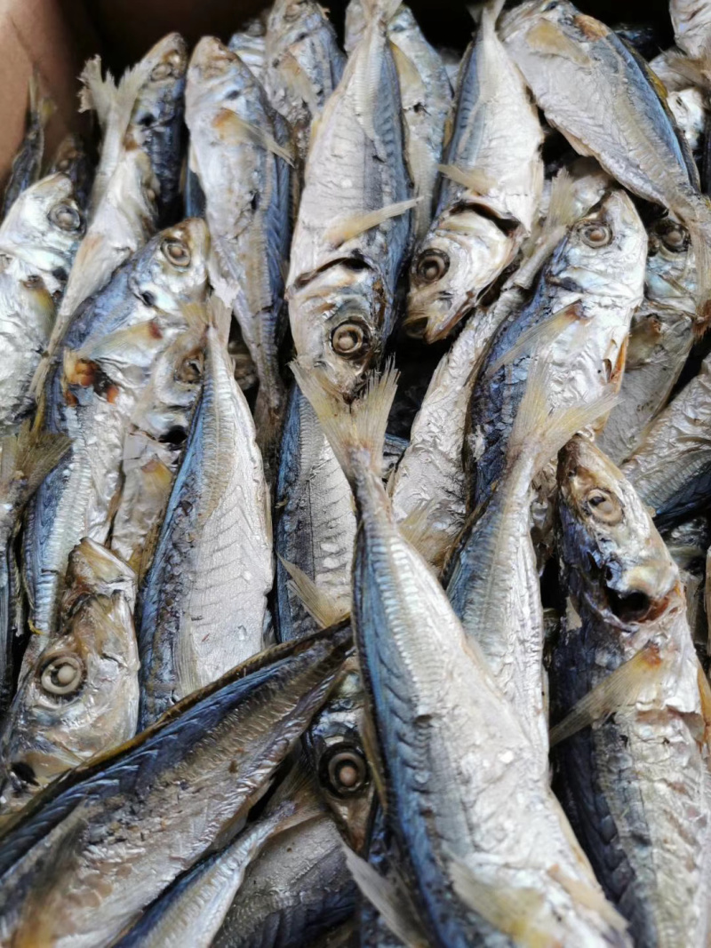 黄尾巴浪鱼干整箱批发