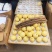 贡梨10斤包邮山西吕梁精品水果