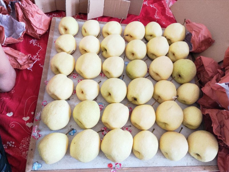 贡梨10斤包邮山西吕梁精品水果