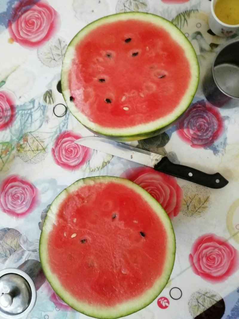 种苗