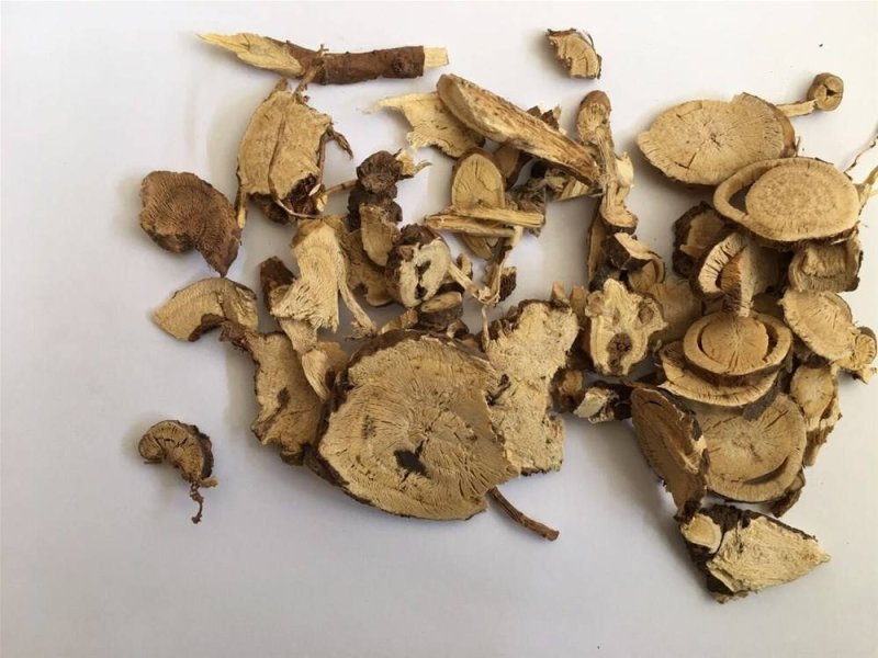 常年批发无硫苦参各种规格