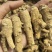 精选10克花旗参西洋参补而不燥