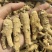 精选10克花旗参西洋参补而不燥