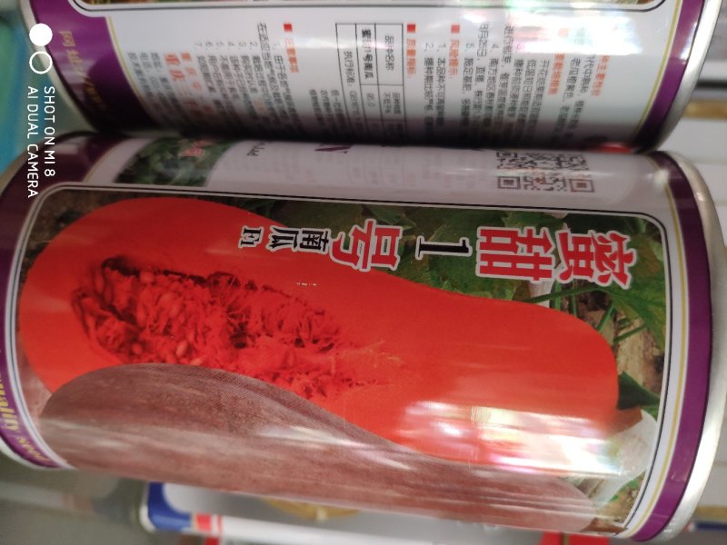 密甜南瓜种子口感佳商品性优