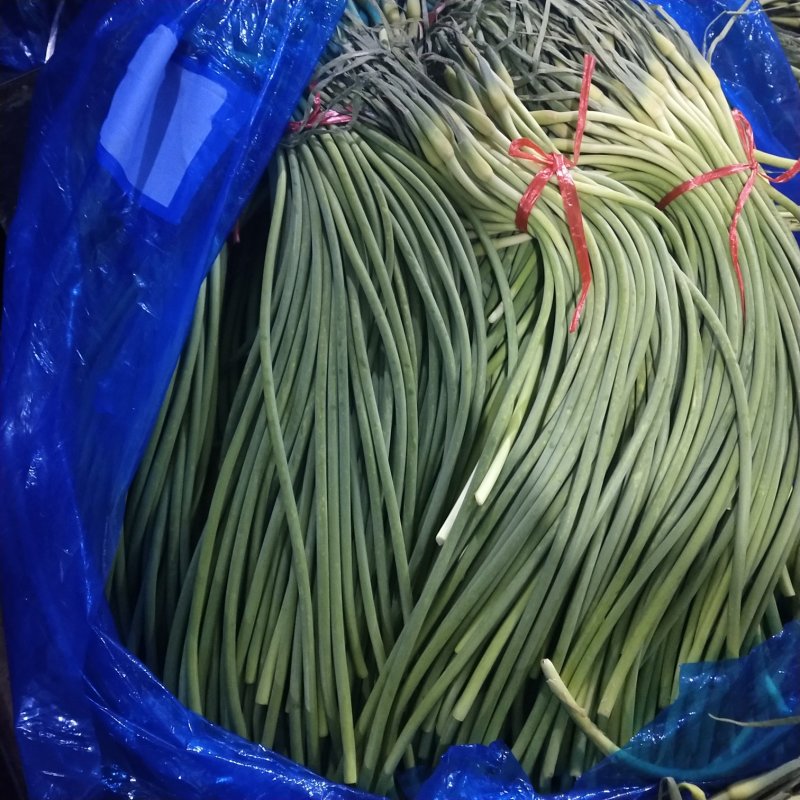 金乡红帽蒜薹大量上市！代收代存！货发全国物美价廉欢迎选