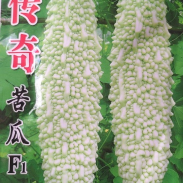 传奇苦瓜种子10克，中早熟瓜淡绿有光泽长刺溜