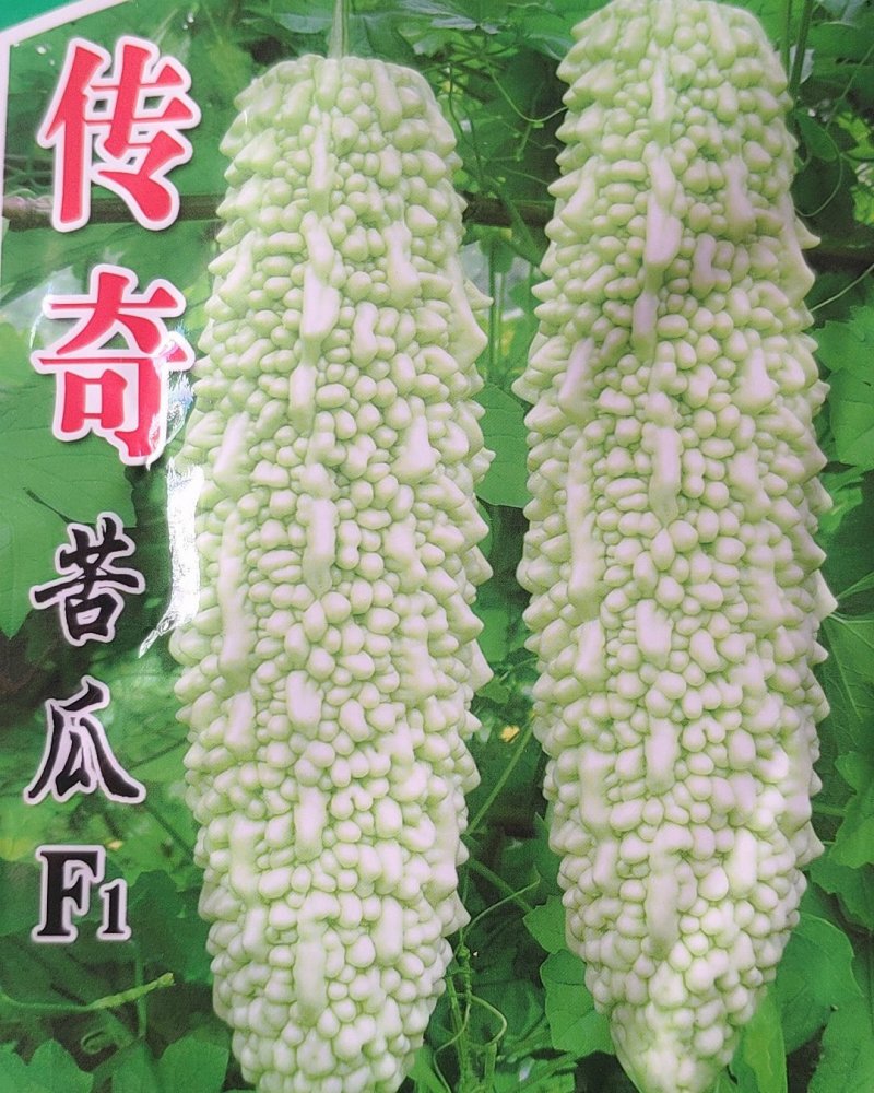 传奇苦瓜种子10克，中早熟瓜淡绿有光泽长刺溜