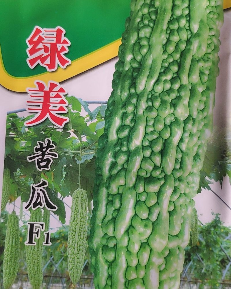 绿美苦瓜种子早熟杂交种瓜长30厘米亩产3000公斤