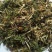 鹅肠草，常年批发供应冷背中药材，鹅肠草，量大从优货真价实