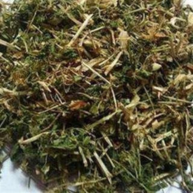 鹅肠草，常年批发供应冷背中药材，鹅肠草，量大从优货真价实