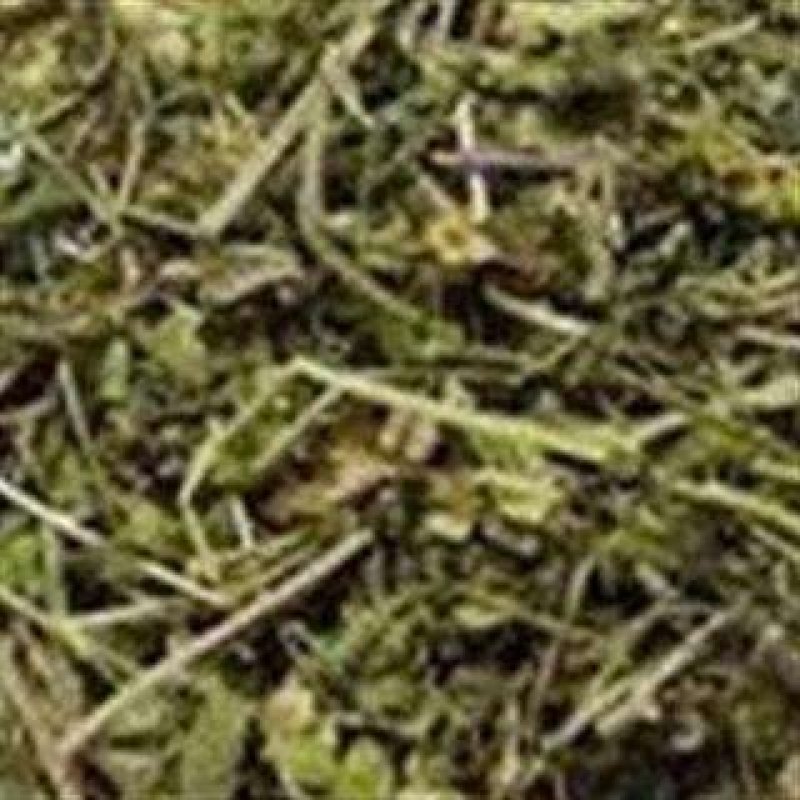 鹅肠草，常年批发供应冷背中药材，鹅肠草，量大从优货真价实