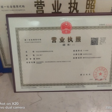 油茶苗