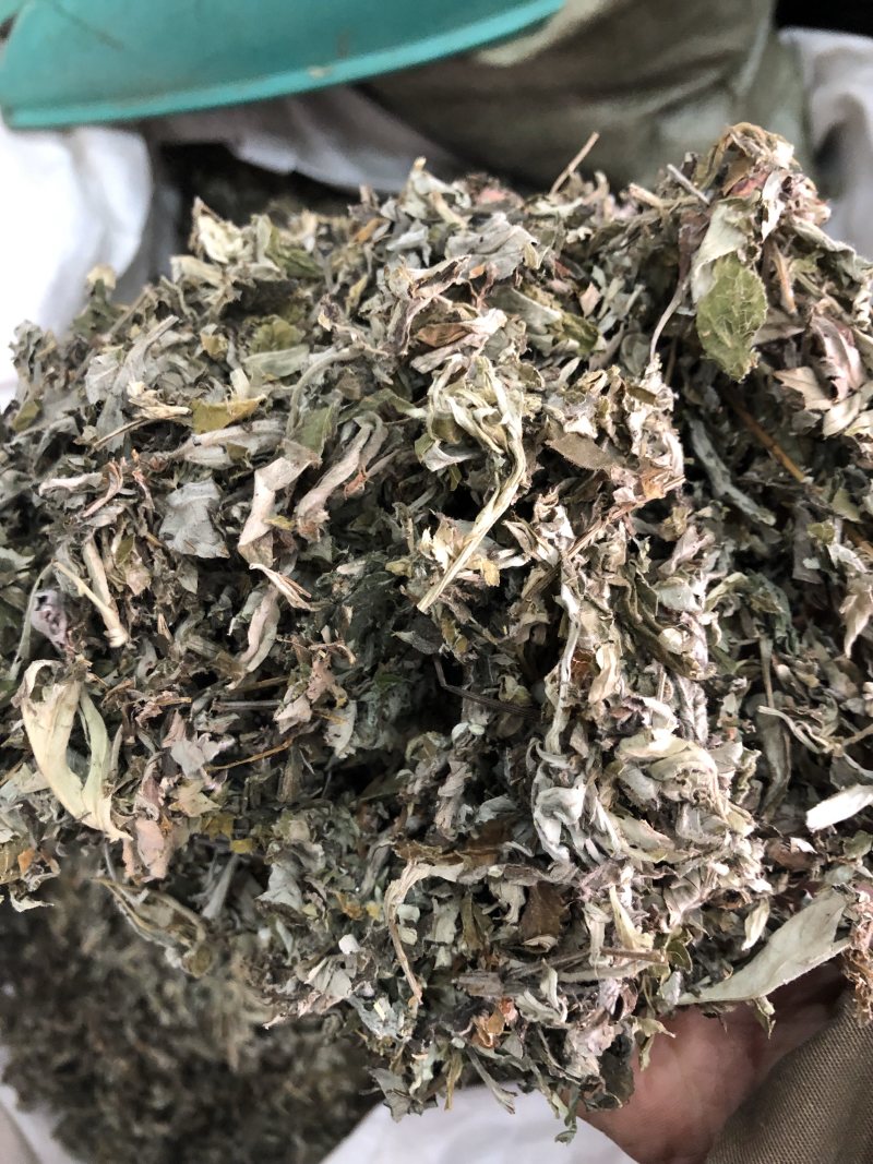 艾叶艾草叶陈艾叶全叶无杆泡脚足浴一公斤起批