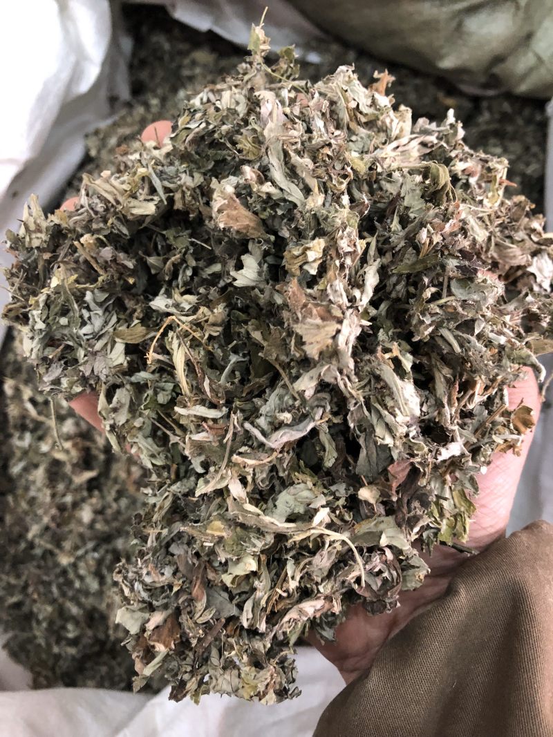 艾叶艾草叶陈艾叶全叶无杆泡脚足浴一公斤起批