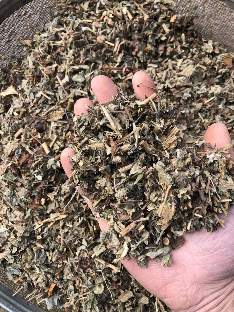 仙鹤草中药材新鲜晒干仙鹤草无硫干货中草药一公斤起批