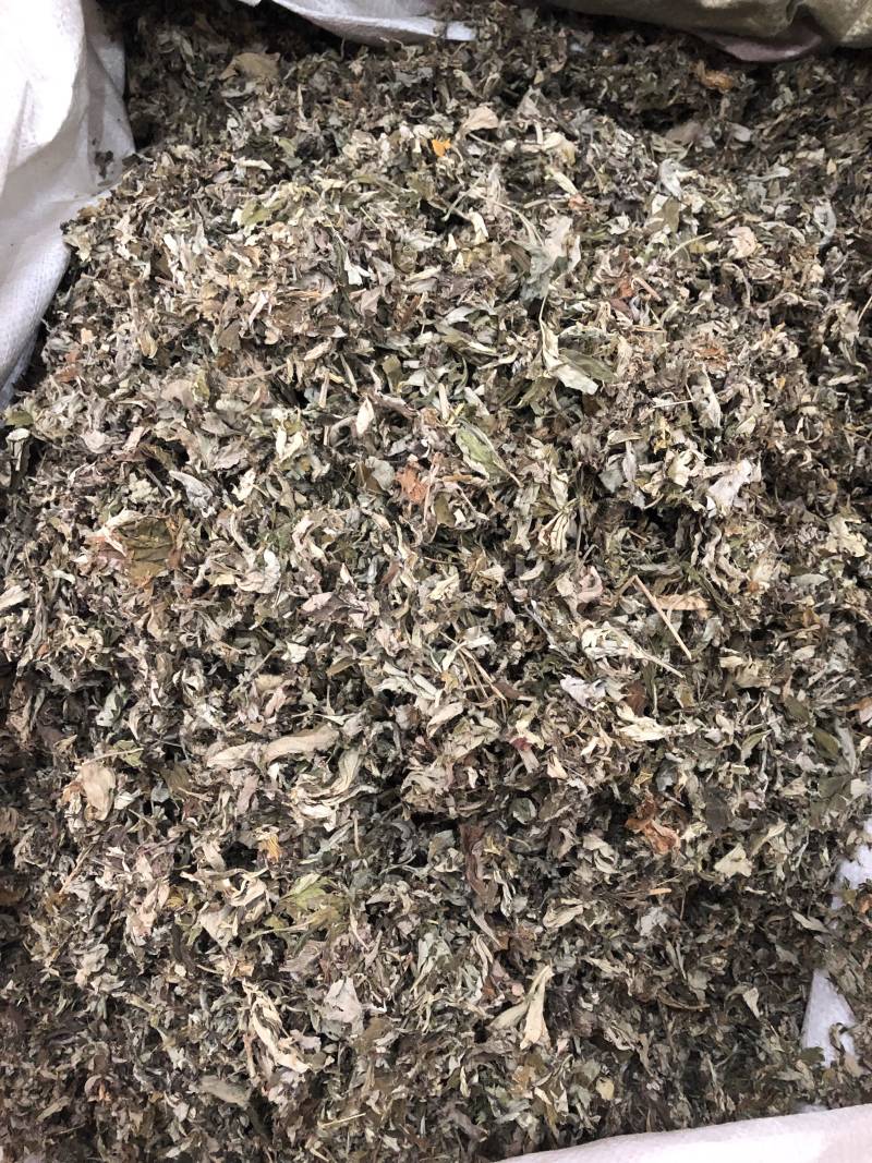 仙鹤草中药材新鲜晒干仙鹤草无硫干货中草药一公斤起批