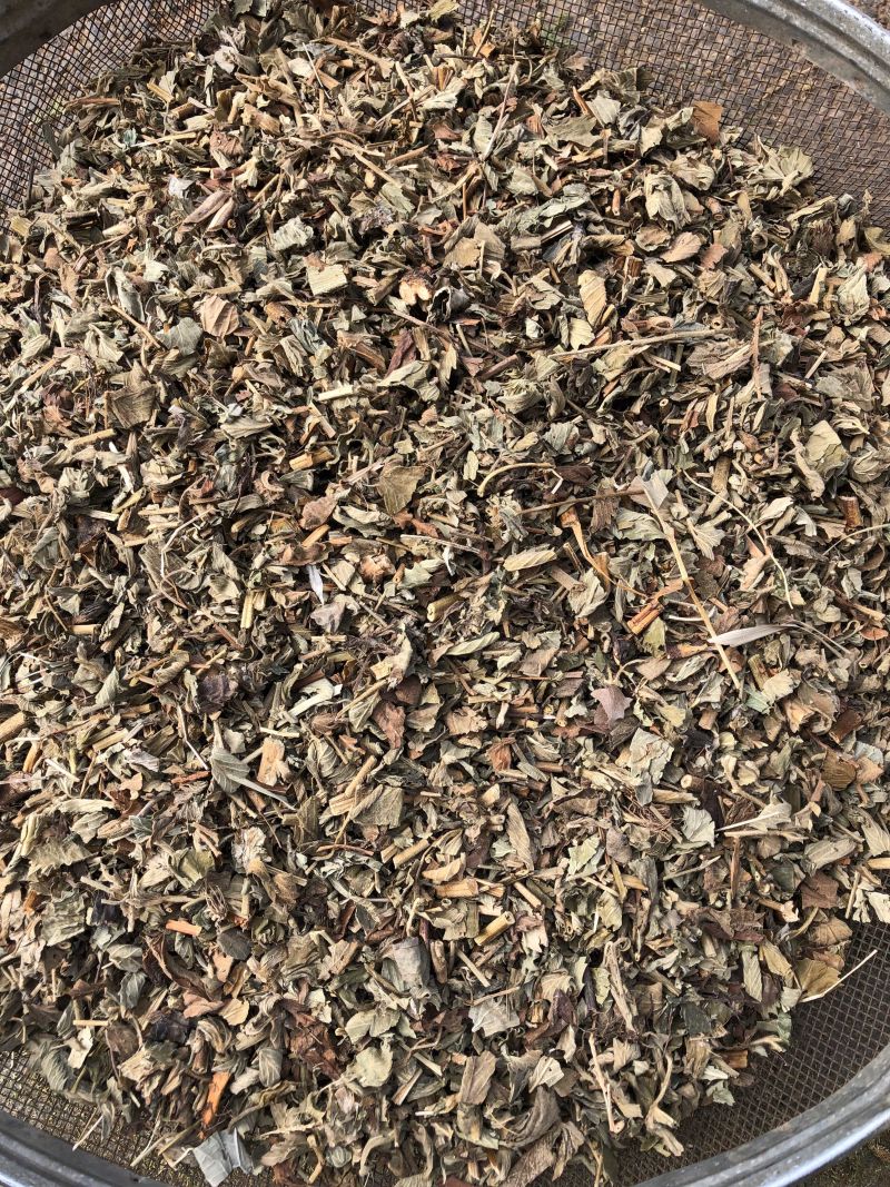 仙鹤草中药材新鲜晒干仙鹤草无硫干货中草药一公斤起批
