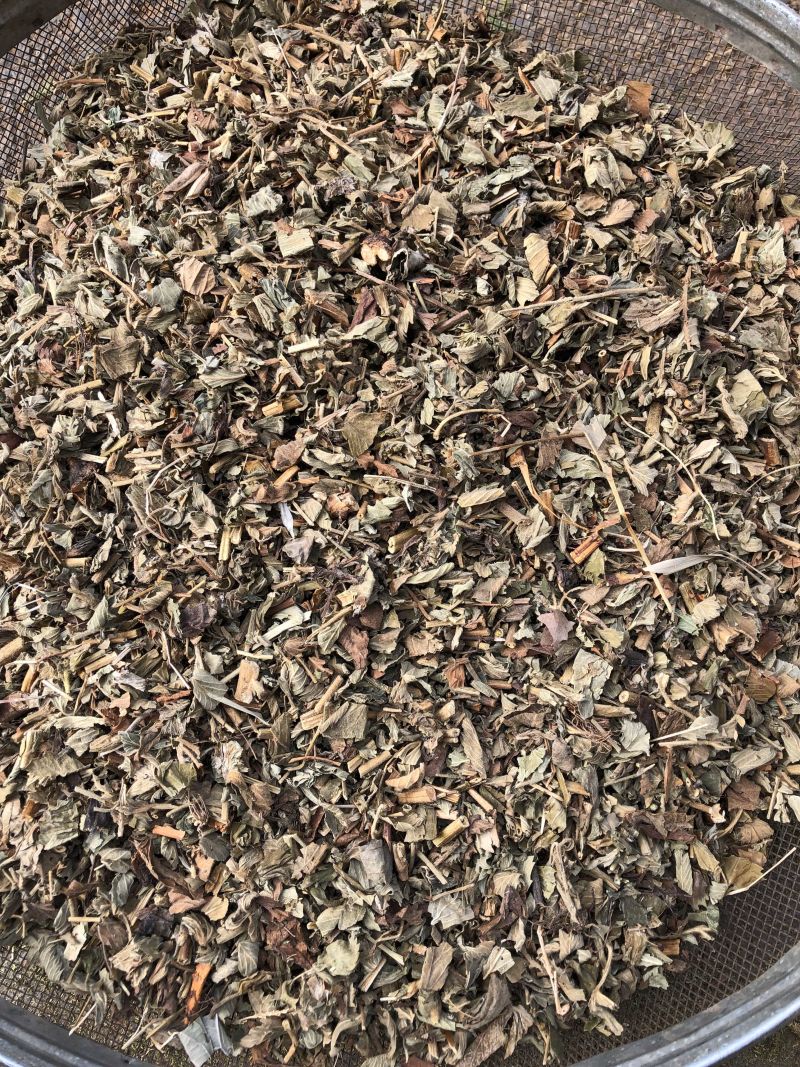 仙鹤草中药材新鲜晒干仙鹤草无硫干货中草药一公斤起批