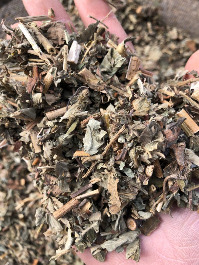 仙鹤草中药材新鲜晒干仙鹤草无硫干货中草药一公斤起批