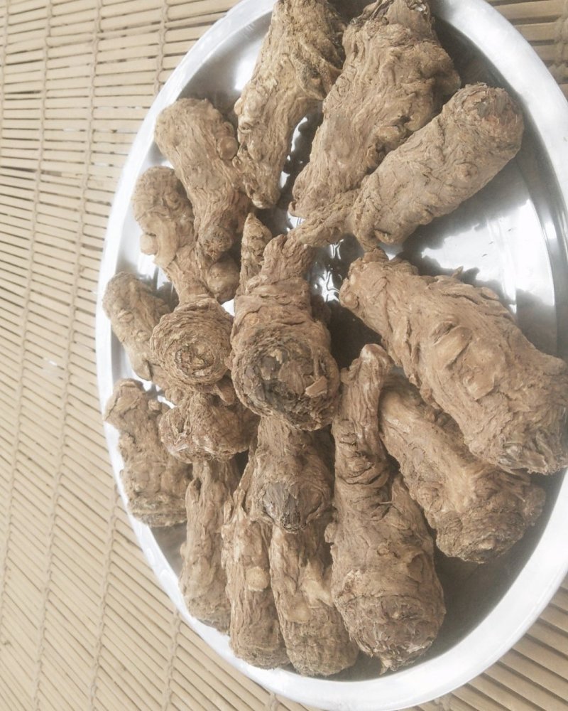 甘肃省渭源县精品当归头货量多价格优惠欢迎咨询订购