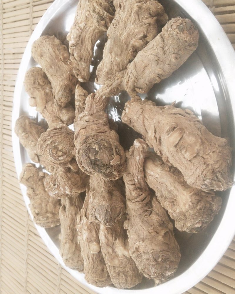 甘肃省渭源县精品当归头货量多价格优惠欢迎咨询订购