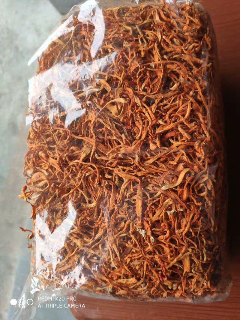 虫草花湿虫草花金北蛹虫草菇孢子头菌类煲汤食材