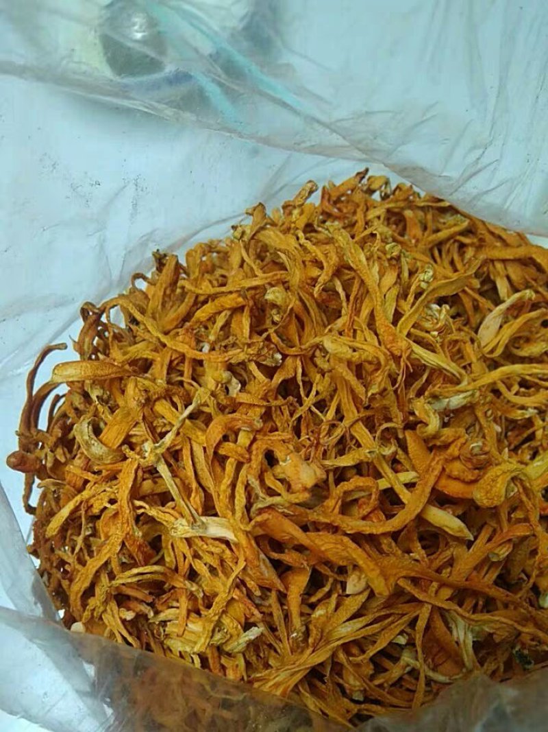 虫草花湿虫草花金北蛹虫草菇孢子头菌类煲汤食材