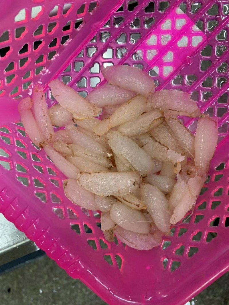 蟹脚肉（中）