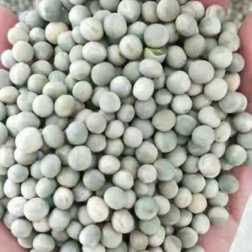 豌豆