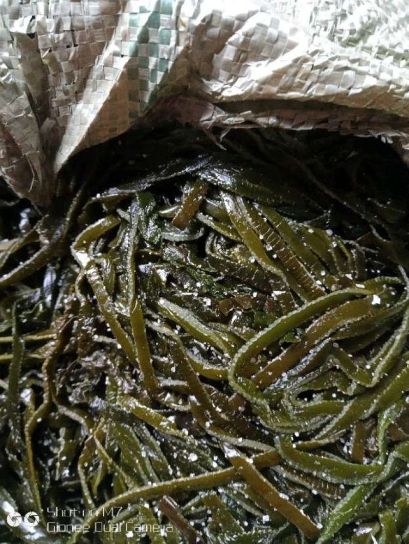 正宗山东荣成海带丝边丝袋装每袋30斤顺风车物流发贷