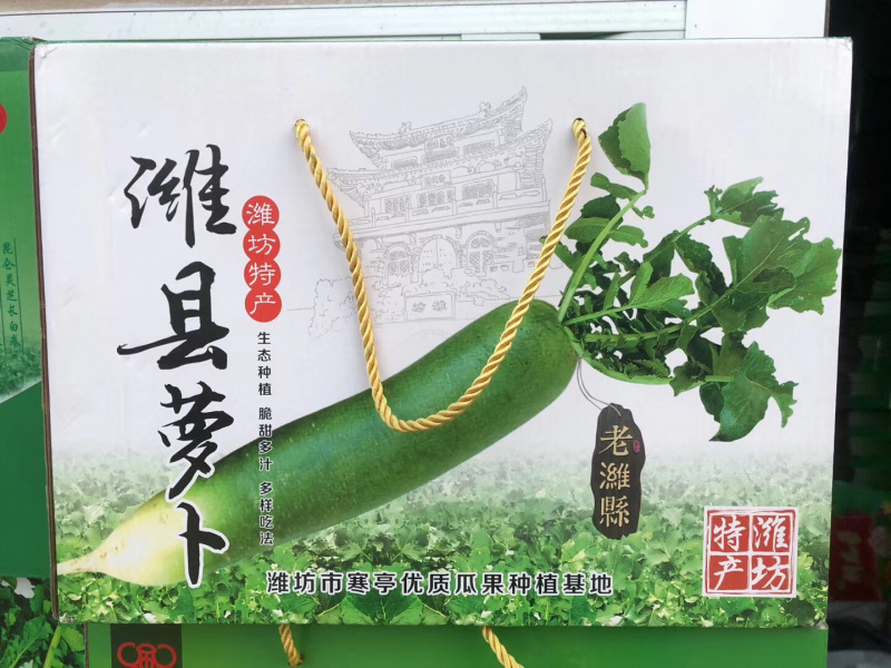 山东青萝卜万亩大棚大量现货供应需要联系电商批发零售都有