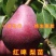 贵妃梨树苗嫁接梨树苗南北方种植梨树苗包品种包结果