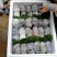 毛桃苗桃树幼苗桃核芽苗毛桃芽苗株高5-10厘米一千棵包邮